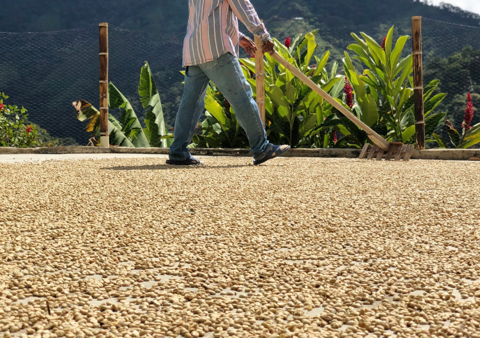 EARTHRISE Vol.06 - コロンビア – Overview Coffee Japan