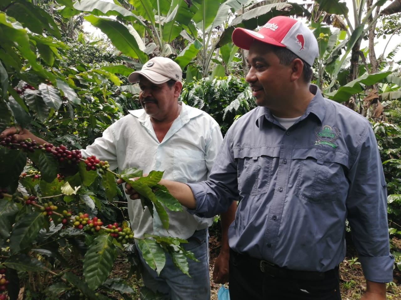 リジェネラティブ・オーガニック認証を取得したコーヒー〈SACACLI